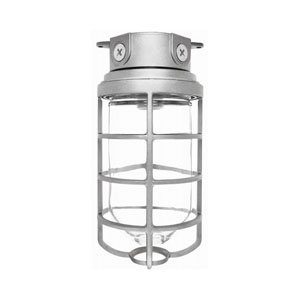 RAB Lighting Fixtures VX200DG 300 Watt Vaporproof Fix With Box & Guard