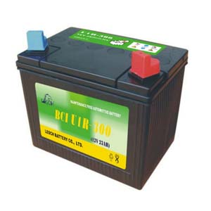 Leoch Batteries U1R-300 CCA Lawn and Garden Battery - NOT AVAILABLE FOR ...